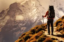 天津_投档线_2022