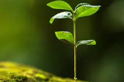 广西_招生计划_2021