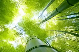 2024广西的专业分数线