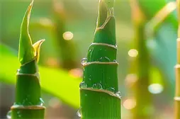 安徽2018-分数线+招生计划_两张表最下面切换