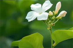 2022-2024年全国高等院校在贵州省的招生计划