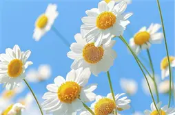 全国高校名单及详细指标