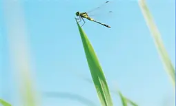 天津_投档线_2021