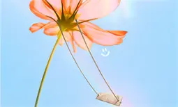 标准表格简历 (29)