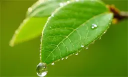 2024年7月20日贵州省普通高校招生信息表（普通类本科提前批C段-历史组合）