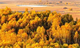 02-2024年陕西省普通高等学校招生本科一批正式投档情况统计表-文史