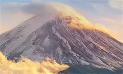 2024年艺术类本科批统考阶段E(音乐表演器乐)类院校录取最低分