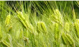 月度表彰大会主持词范本